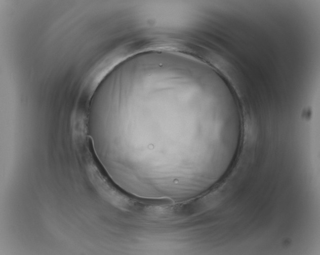 X0000112731481200909171116