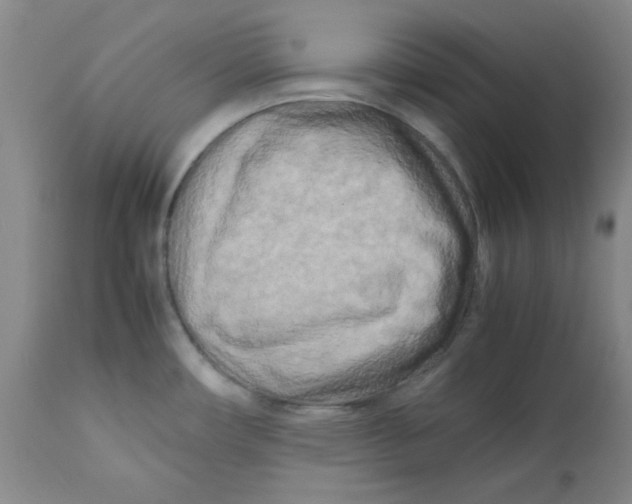 X0000112731482200909171116