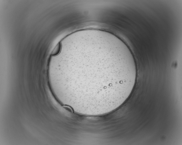 X0000112731483200909171116