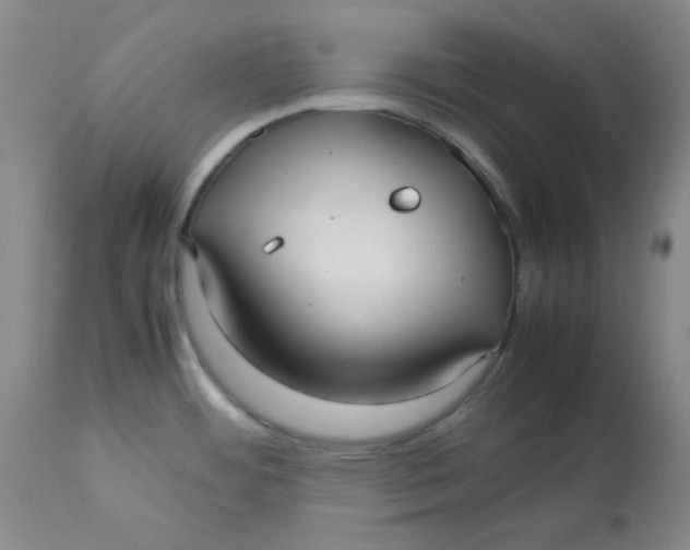 X0000112731484200909171116