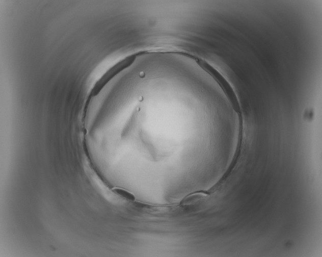 X0000112731485200909171116