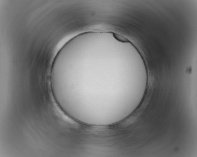 X0000112731486200909171116