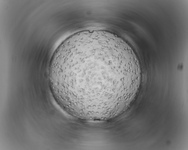 X0000112731487200909171116