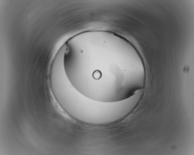 X0000112731488200909171116