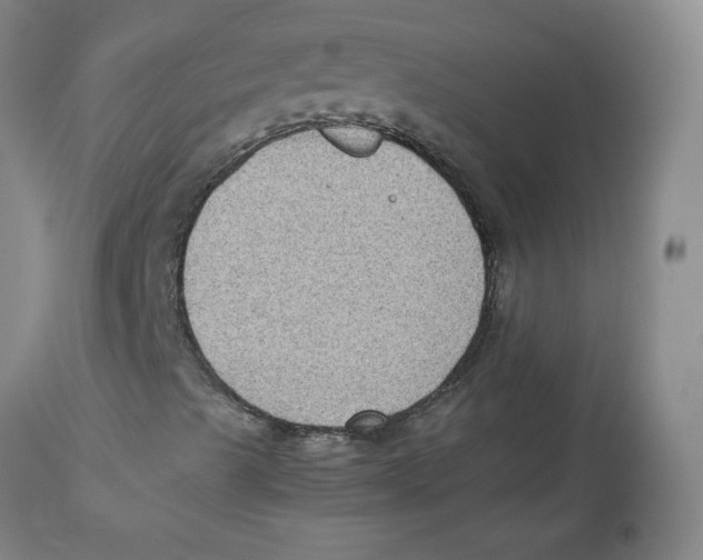 X0000112731489200909171115