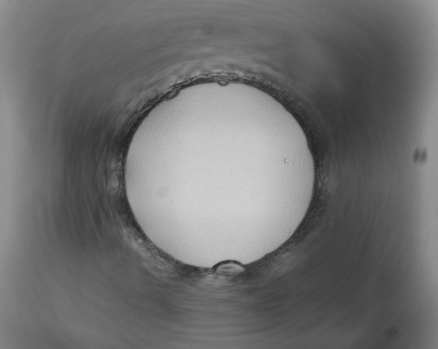 X0000112731490200909171115