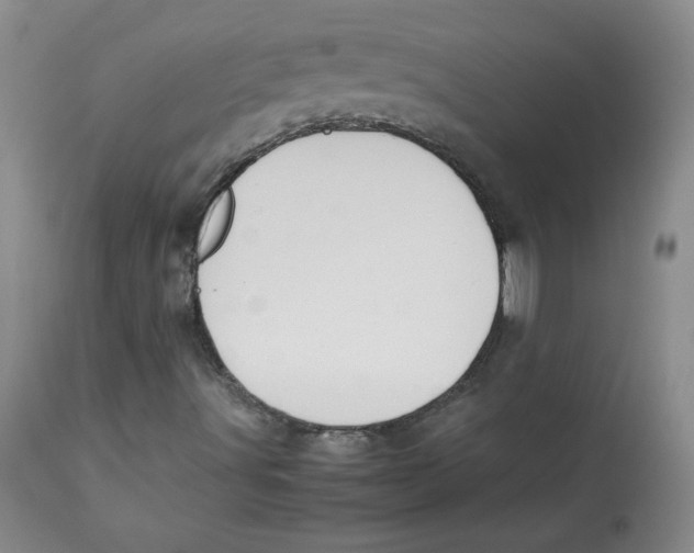 X0000112731491200909171115