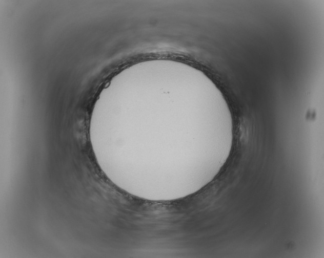 X0000112731493200909171115