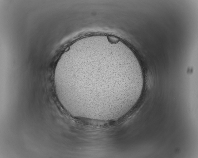 X0000112731494200909171115