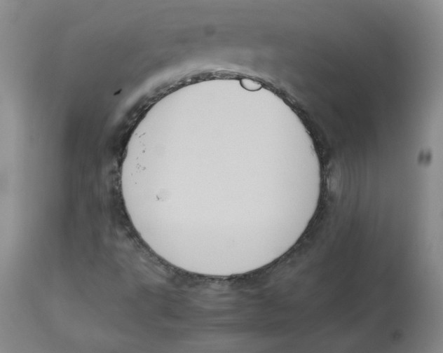 X0000112731495200909171115