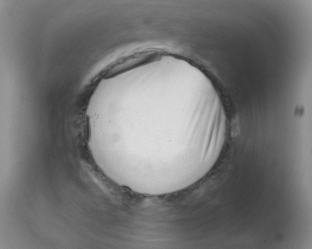 X0000112731496200909171115