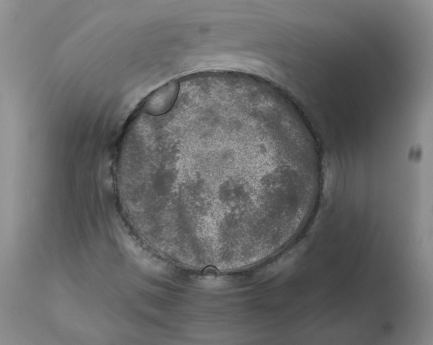 X0000112731497200909171115