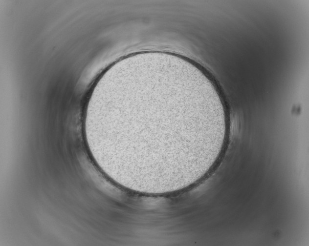 X0000112731498200909171115