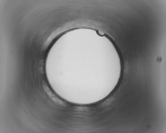 X0000112731499200909171115