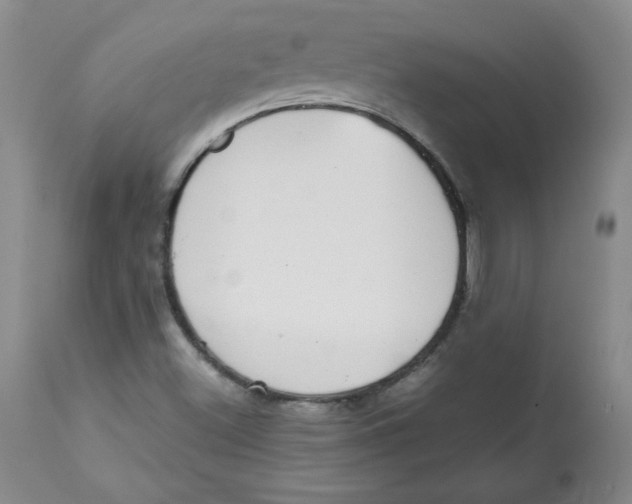 X0000112731500200909171115