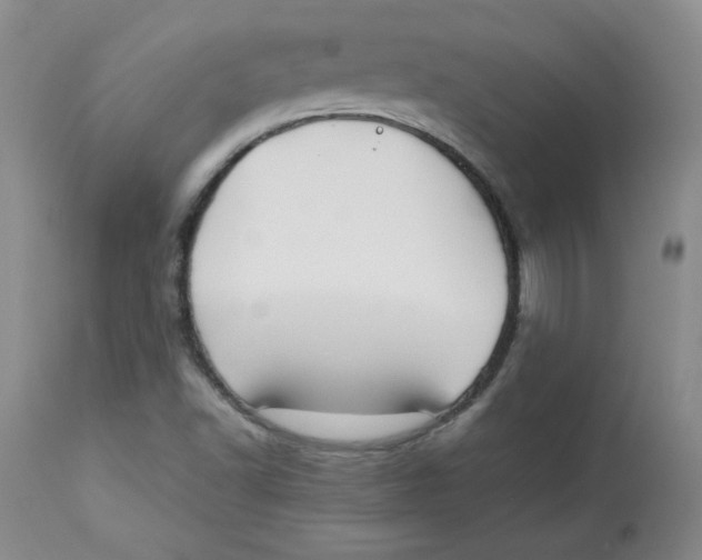 X0000112731502200909171115