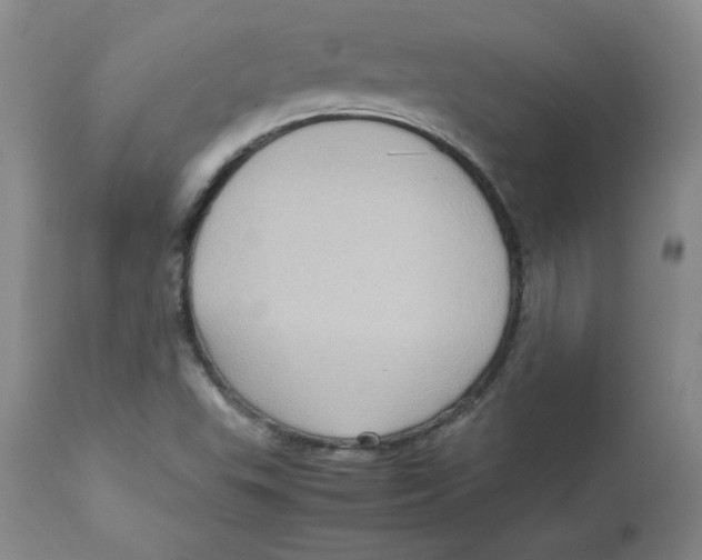 X0000112731503200909171115