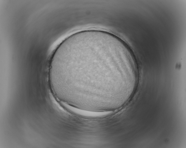 X0000112731504200909171115