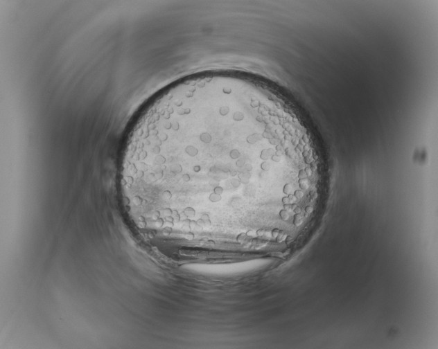 X0000112731505200909171115