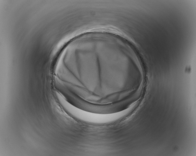 X0000112731506200909171115