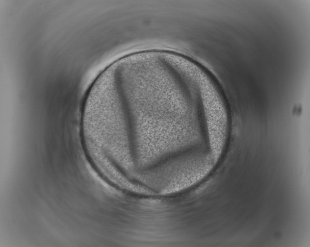 X0000112731508200909171115