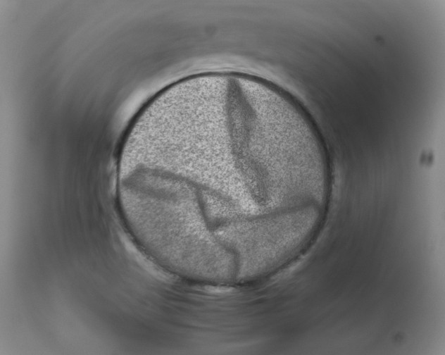 X0000112731509200909171115