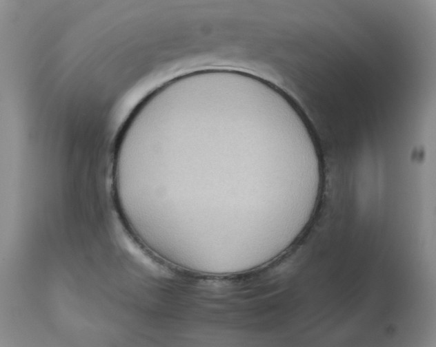 X0000112731511200909171116