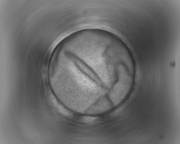 X0000112731513200909171116