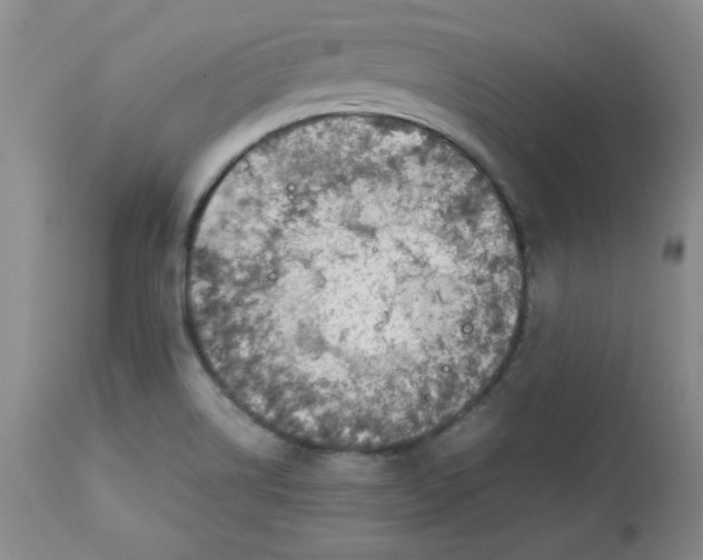 X0000112731514200909171116