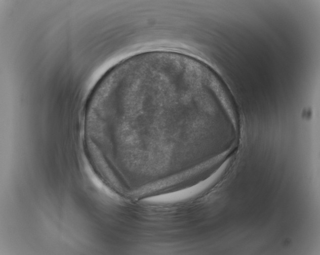 X0000112731515200909171116