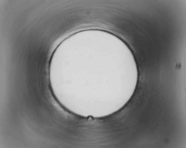 X0000112731516200909171116