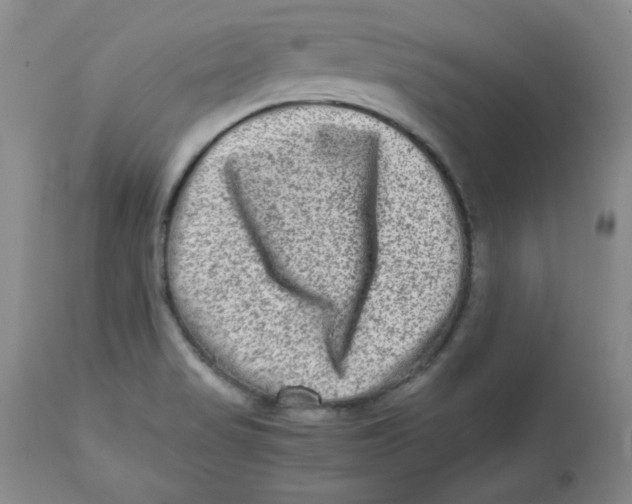 X0000112731517200909171116