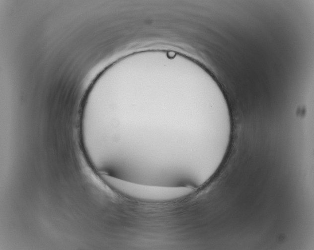 X0000112731518200909171116