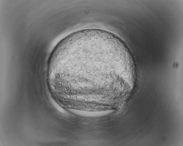 X0000112731519200909171116