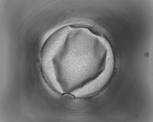 X0000112731520200909171116