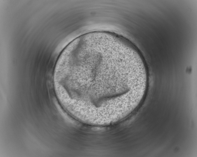 X0000112731521200909171116