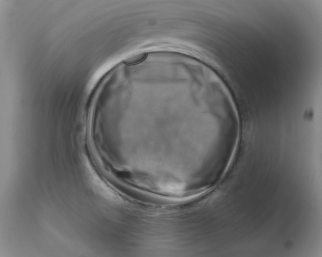 X0000112731522200909171116