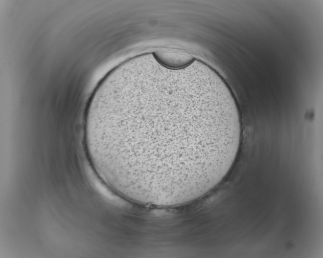 X0000112731523200909171116