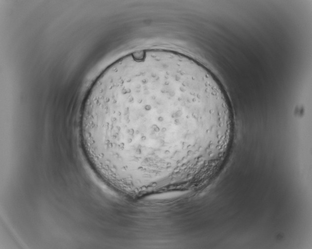 X0000112731525200909171116