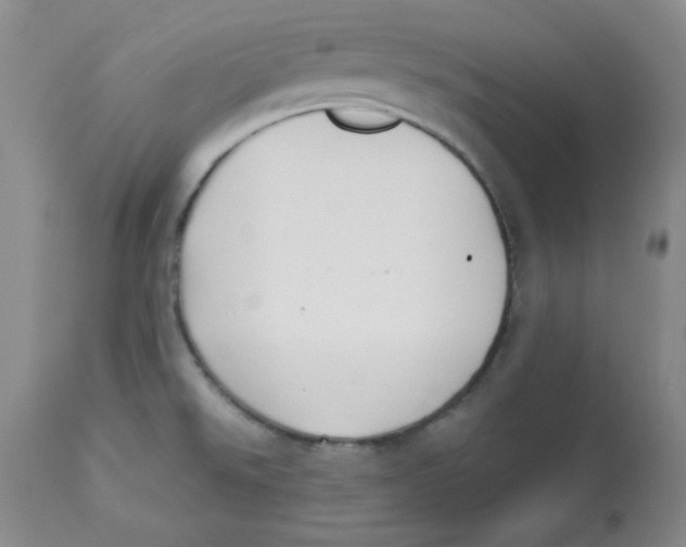 X0000112731526200909171116