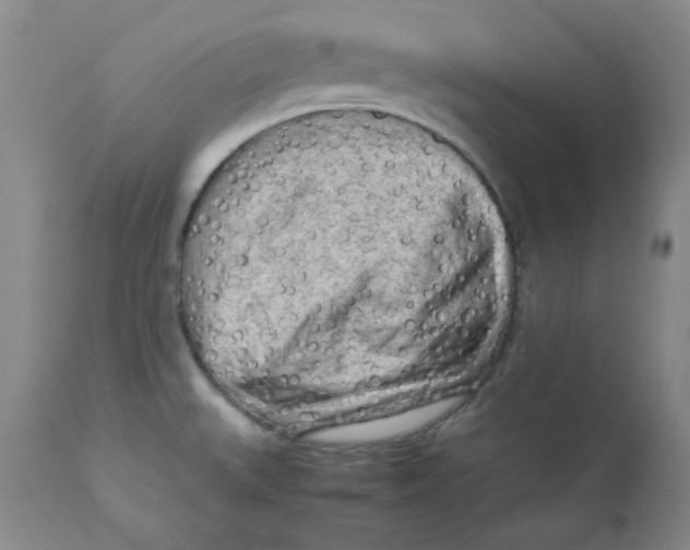 X0000112731527200909171116