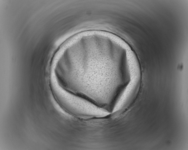 X0000112731528200909171116