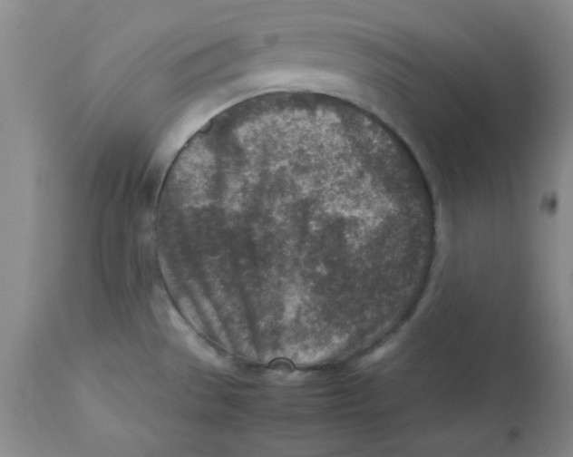 X0000112731529200909171116