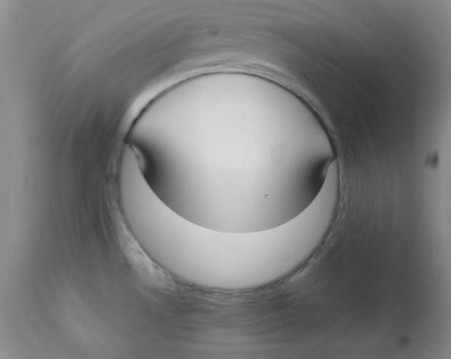 X0000112731530200909171116