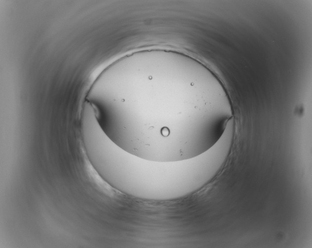 X0000112731532200909171116