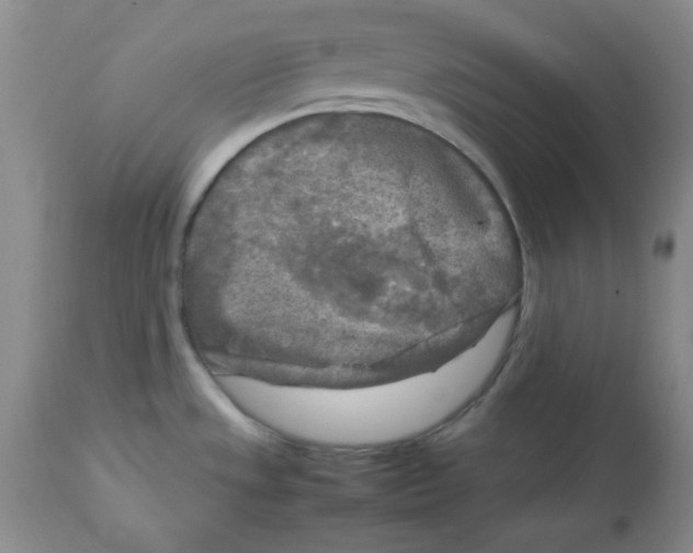 X0000112731533200909171116