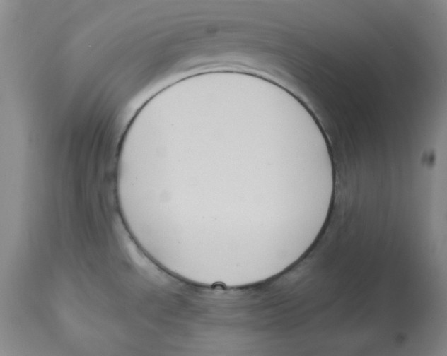 X0000112731534200909171116