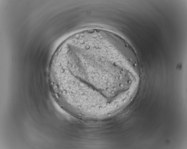 X0000112731535200909171116