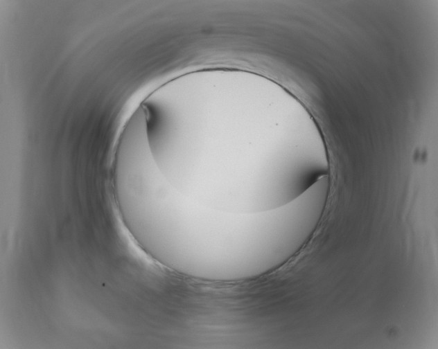 X0000112731536200909171116