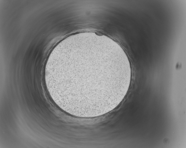X0000112730001200910011208